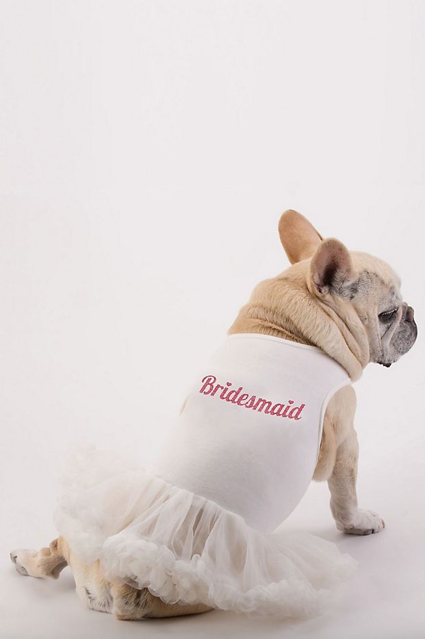 When Your Pup Is Part Of The Squad Bridesmaid Dog Dress David S Bridesmaid Dog Dress David S Bridal Dogs In Weddings French Bulldog Party Bridesmaids Wedding Attire