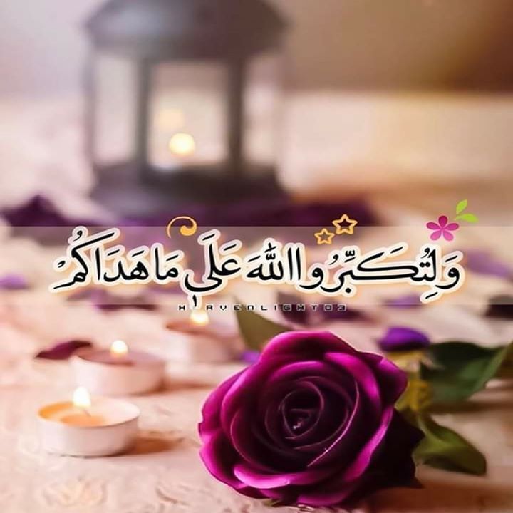 ولتكملوا العدة ولتكبروا الله على ماهداكم فلتتشرع دواخلك لـ بهجة العيد معظما شعائر الله والثغر منك مكبرا مستغفرا عمروا ليل Good Morning Arabic Rose Flowers