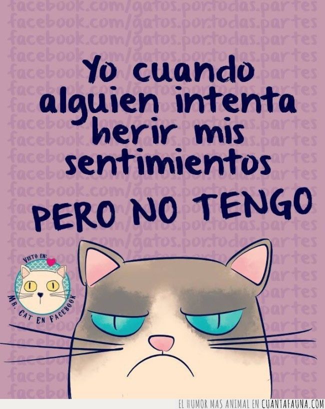 494 # Divertido Bromista De Gato Atractivo Fácil De Llevar M 494 # Divertido Bromista De Gato Atractivo Fácil De Llevar M