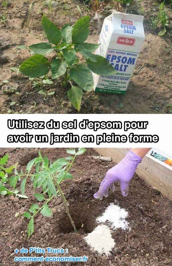 18 best Jardin images on Pinterest Plants, Cuttings and Backyard ideas - comment fabriquer un composteur exterieur 18 best Jardin images on Pinterest Plants, Cuttings and Backyard ideas - comment fabriquer un composteur exterieur