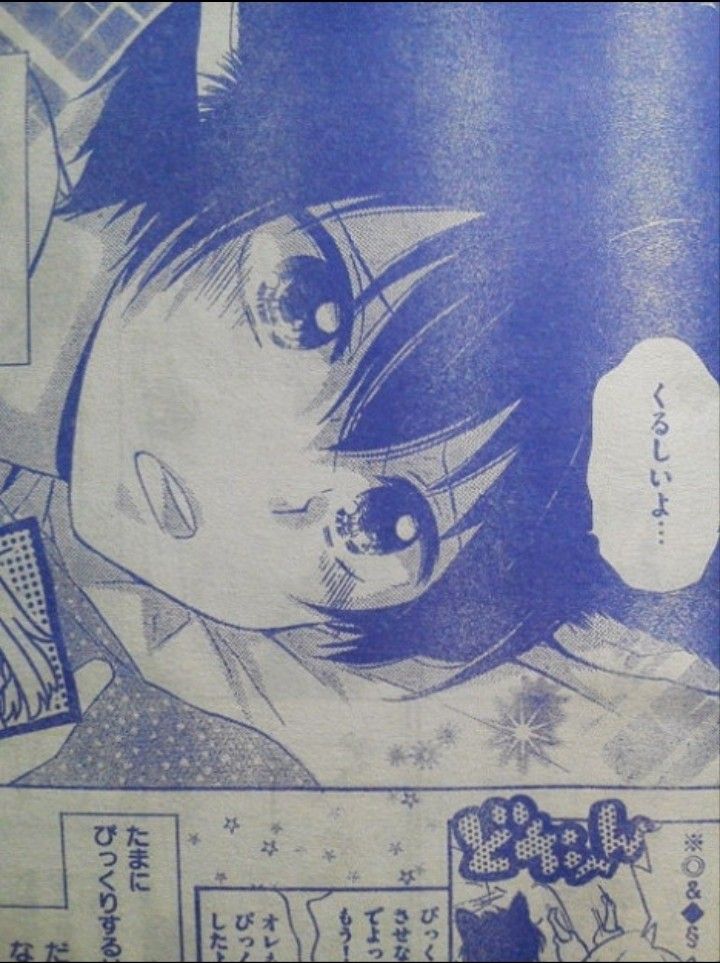 オオカミ少年 こひつじ少女 オオカミ少年 こひつじ少女
