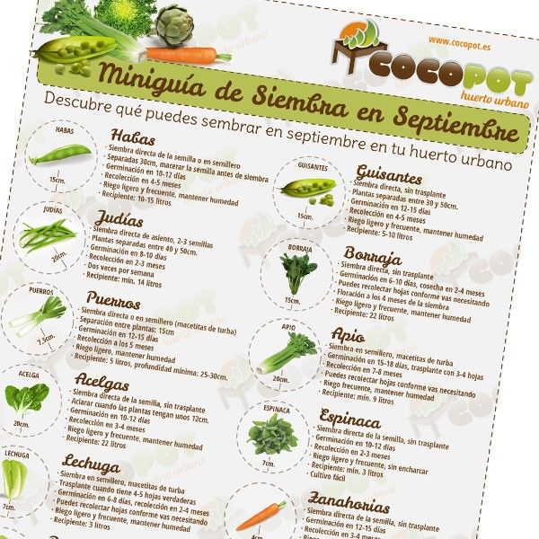 que se siembra en septiembre facilisimocom mejores 37 im 225 genes de minigu 237 as de siembra mejores 37 im 225 genes de minigu 237 as de siembra cocopot en huerto urbano huertos y cosechas que se siembra en septiembre facilisimocom mejores 37 im 225 genes de minigu 237 as de siembra mejores 37 im 225 genes de minigu 237 as de siembra cocopot en huerto urbano huertos y cosechas