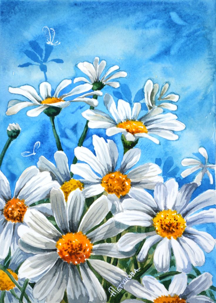 эксперименты рисунок с ромашками самых