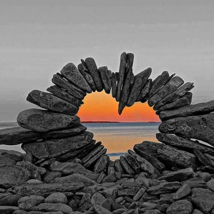 Valentines Day Quotes Amour De Pierre Color Splash Photography Nature Touch Of Gray