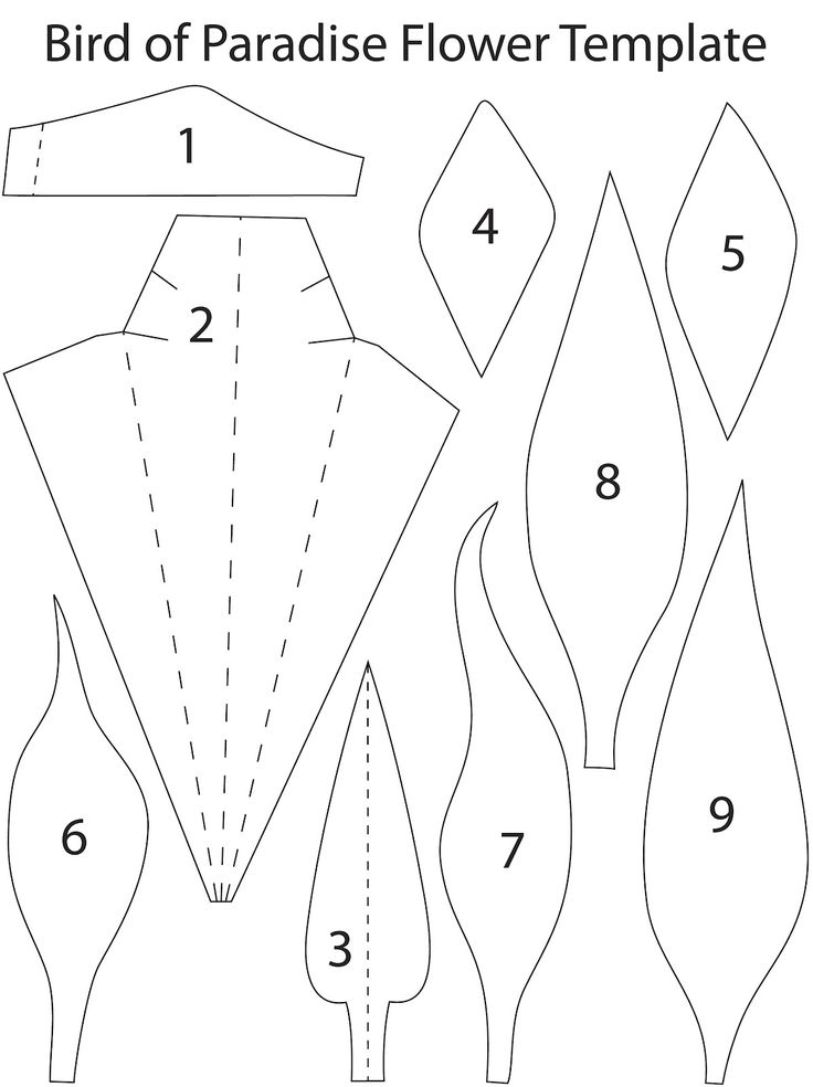 bird template posted by erin dcwv at 10 28 am paper bird of paradise flower