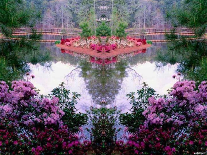 Beautiful Rose Garden Wallpaper 1241 best beautiful peaceful gardens images on pinterest Beautiful Rose Garden Wallpaper 1241 best beautiful peaceful gardens images on pinterest