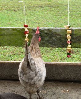 Buy shaved chocolate Choke your chicken mature