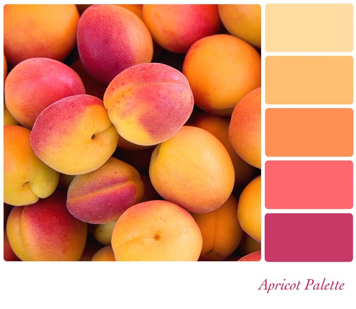 Pale Orange best 25+ orange color schemes ideas on pinterest | blue orange Pale Orange best 25+ orange color schemes ideas on pinterest | blue orange