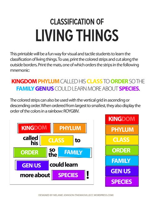 Worksheet Classification Of Living Things Worksheet 5th Grade 33 best classification of living things images on pinterest life things