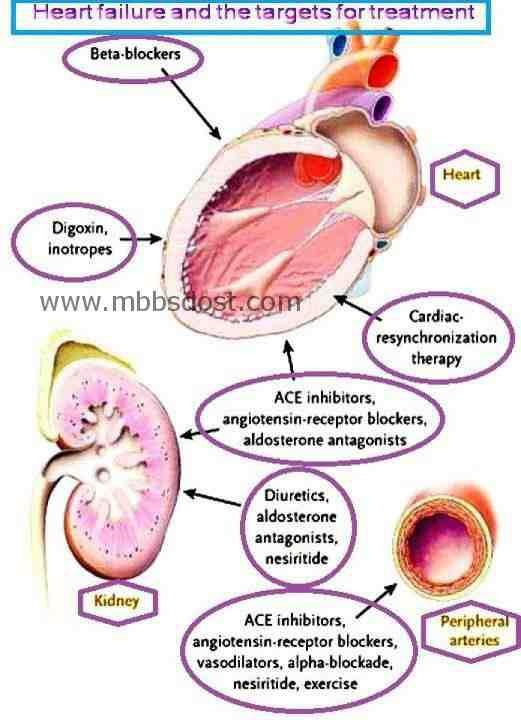 105 best Cardiac Med-Surg Nursing Class images on Pinterest Med