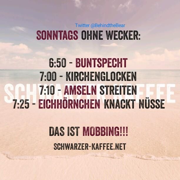 die besten 25+ zitate �ber mobbing ideen auf pinterest | mobbing die besten 25+ zitate �ber mobbing ideen auf pinterest | mobbing