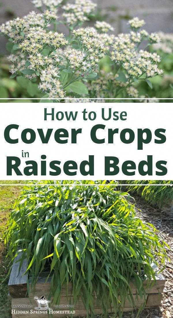 Create Beautiful Flowers And Delicious Fruits And Vegetables With