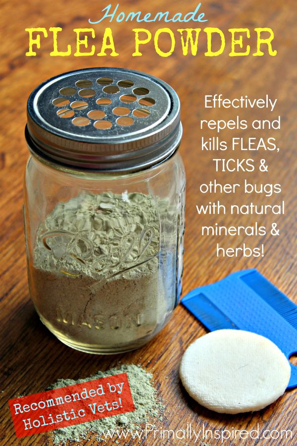 Homemade Flea Powder Natural Holistic Remes Fleas Pets Dogs