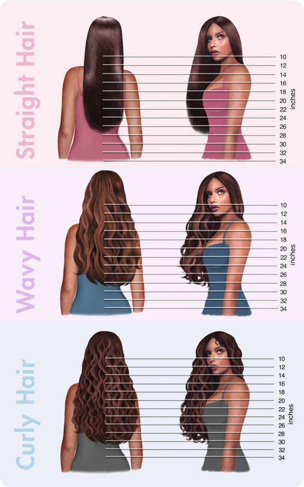 Pin by lexie.nicole on hurrrrrr. Hair inches, Hair chart, Hair length