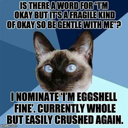 561 best chronic illness chronic pain conditions images on b8a0f355d747e121a3ea2d172817d3d9 chronic illness cat chronic migraines 561 best chronic illness chronic pain conditions images on,Positive Chronic Illness Memes