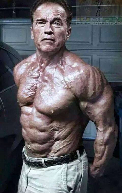 SEARCH AND BUY THIS PRODUCT Arnold | Arnold schwarzenegger | Pinterest | Arnold