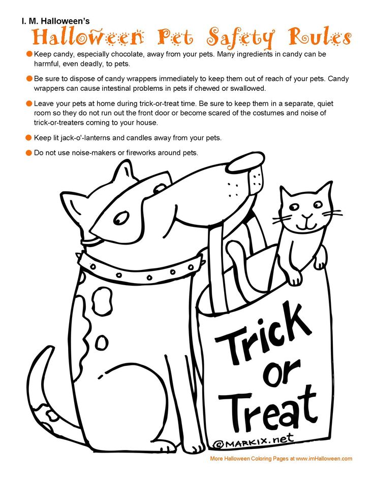 halloween pet safety coloring page more for halloween at wwwimhalloween - Halloween Safety Worksheets halloween pet safety coloring page more for halloween at wwwimhalloween - Halloween Safety Worksheets
