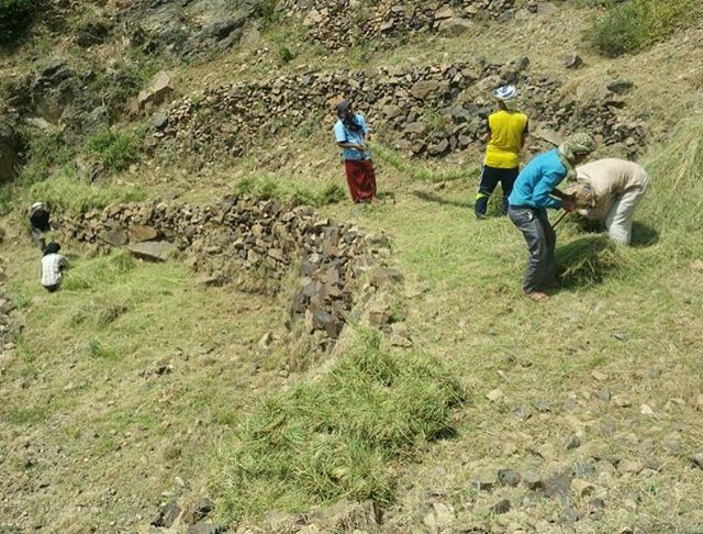 من يحفظ مهجل من مهاجل العلان يكتبه في تعليق مناظر من بلاد الطعام اليمن ريمة انت لا تعرف اليمن Yemen Beladat3am Soccer Field Field Soccer
