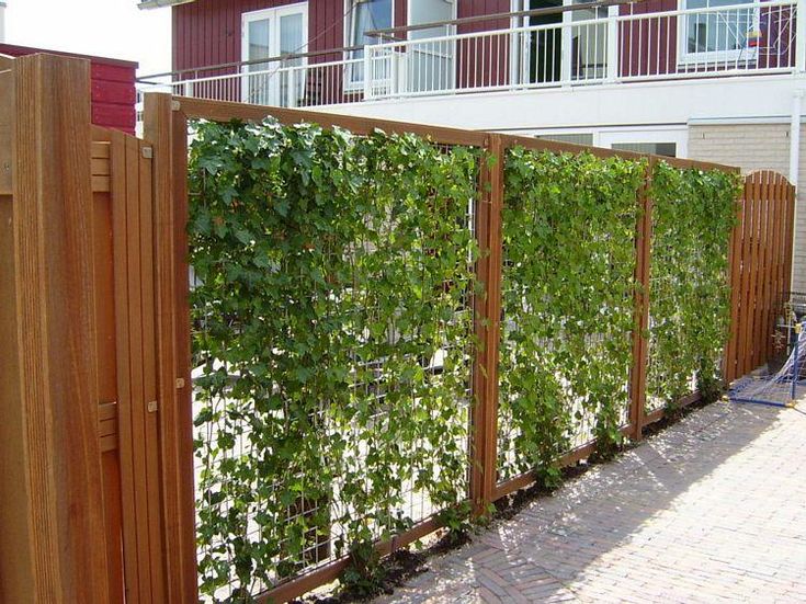 PAM - Hardhouten gaaspanelen verzinkt betonijzer 180x180 cm - outdoor küche mauern PAM - Hardhouten gaaspanelen verzinkt betonijzer 180x180 cm - outdoor küche mauern