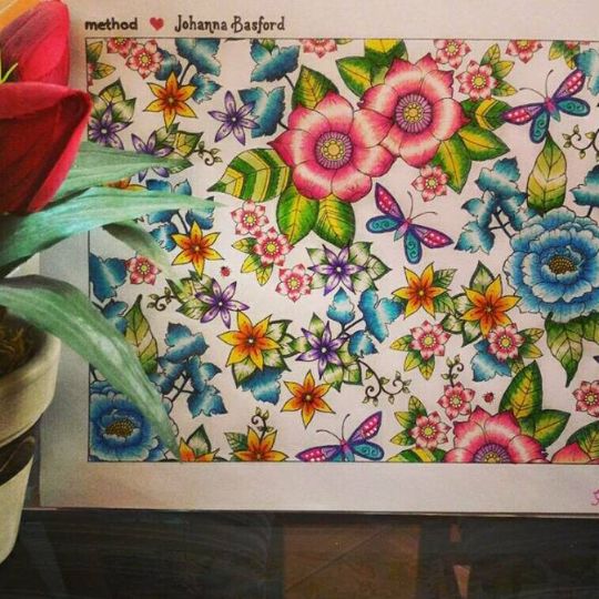 Take A Peek At This Great Artwork On Johanna Basfords Colouring Gallery Adult ColoringColouringColoring BooksJohanna