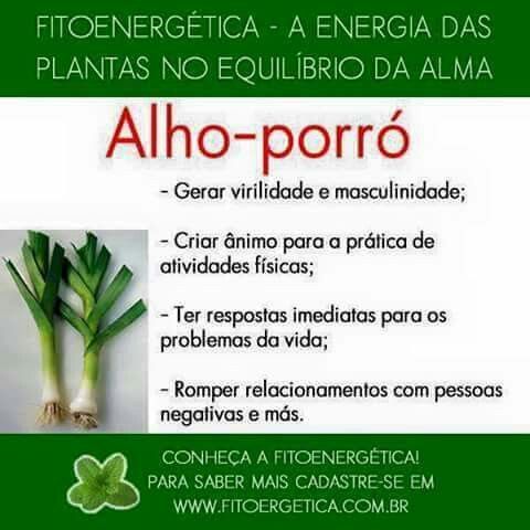 8 Melhores Ideias de Fito | Plantas medicinais, Ervas ...