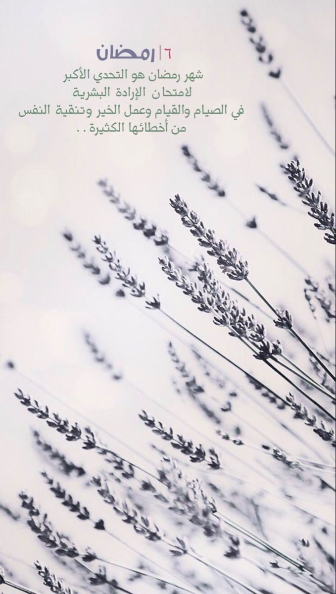 ٦ رمضان Flower Wallpaper Iphone Wallpaper Samsung Wallpaper