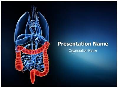 55 Best Cancer Powerpoint Ppt Template Images On Pinterest Ppt Template Powerpoint Cancer Powerpoint Templates Free