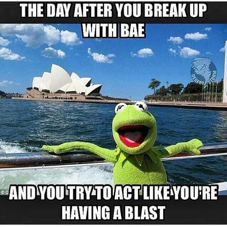 boat driving captions 199 best kermit images on pinterest ha ha hilarious boat driving captions 199 best kermit images on pinterest ha ha hilarious