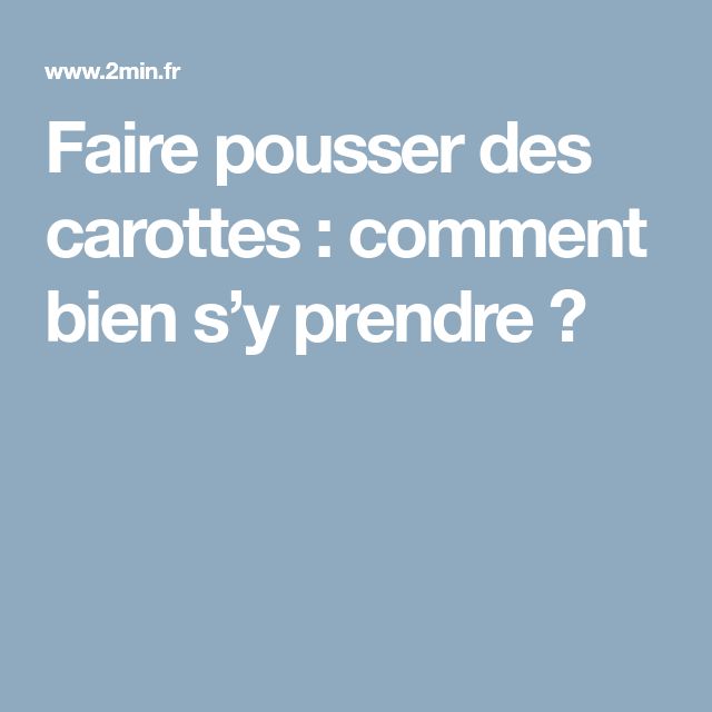 faire pousser des carottes comment bien s y prendre faire pousser des carottes comment bien s y prendre