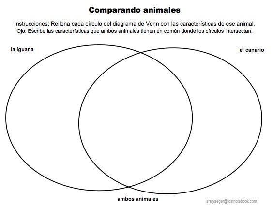 12 best Teaching Materials Iu0027ve Created images on Pinterest - venn diagram template 12 best Teaching Materials Iu0027ve Created images on Pinterest - venn diagram template