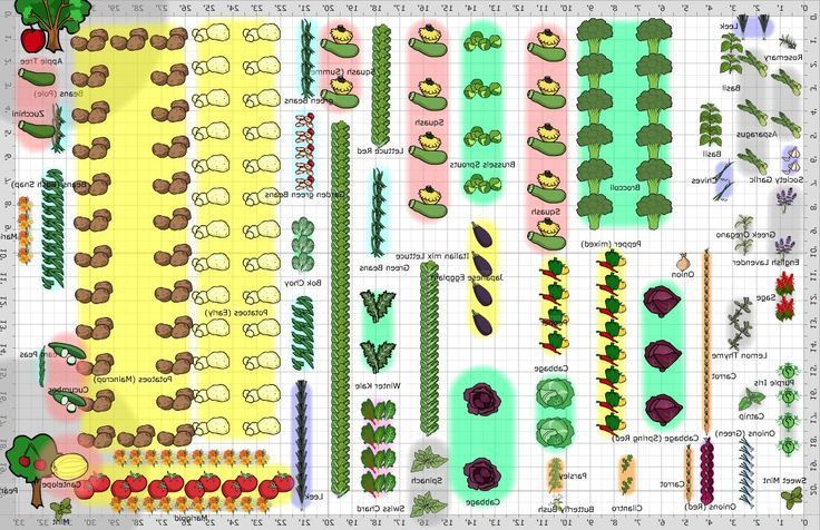 Pläne Für Große Gemüsegärten Cdxnd Com Home Design In Garden Planning Layout Vegetable Plan - Large Vegetable Garden Layout Ideas Pläne Für Große Gemüsegärten Cdxnd Com Home Design In Garden Planning Layout Vegetable Plan - Large Vegetable Garden Layout Ideas