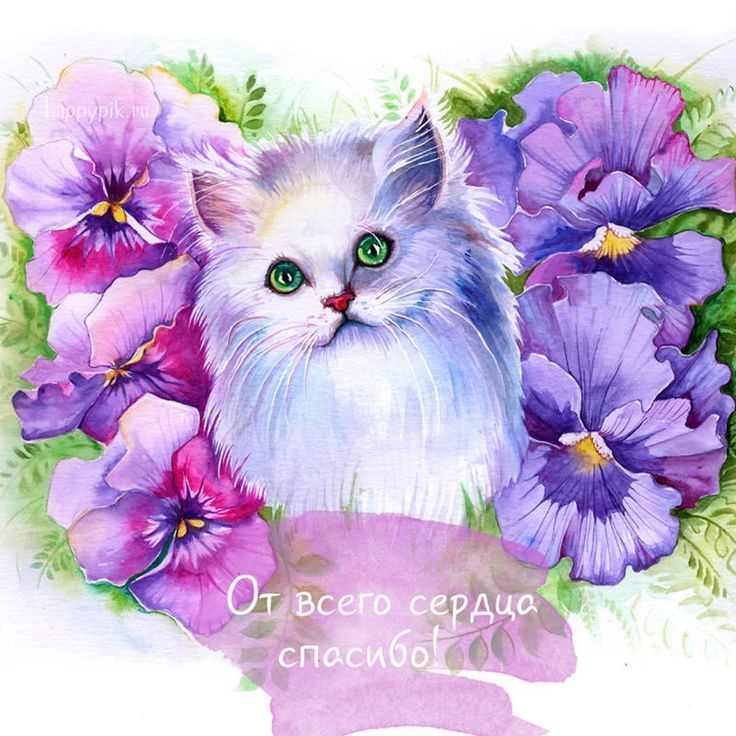 Муз, спасибо котенок открытка
