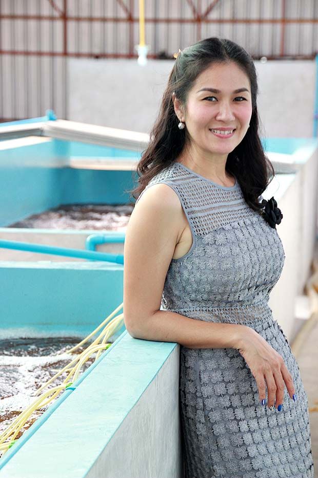 ก งขาว เล ยงให รวย ปร กษาฟร ส บแสนฟาร ม เสาหล กวงการแฮชเชอร