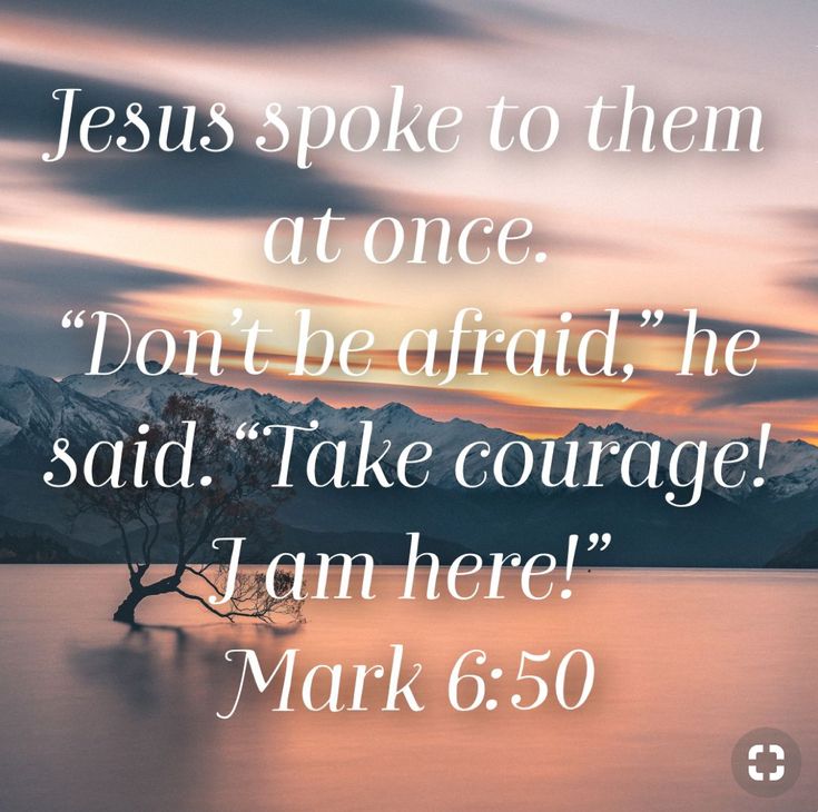 Mark 6 50 Faith Quotes Scripture Verses Biblical Quotes mark-6-50-faith-quotes-scripture-verses-biblical-quotes