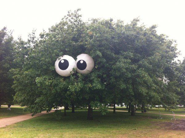 tree with giant eyeballs