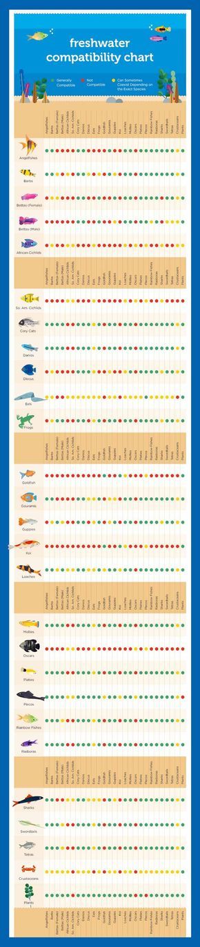 Compatibility Charts BunaN Compatibility Chart BunaN Compatibility