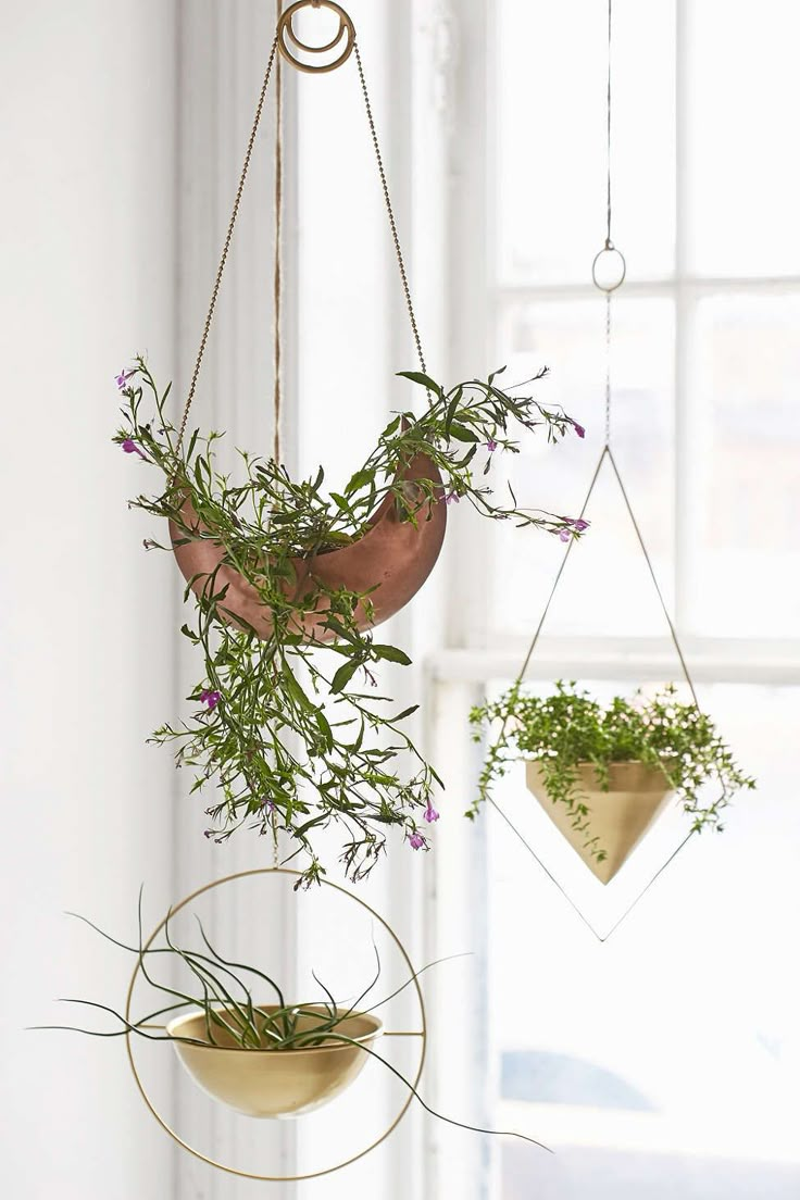 three hanging planters with plants in them