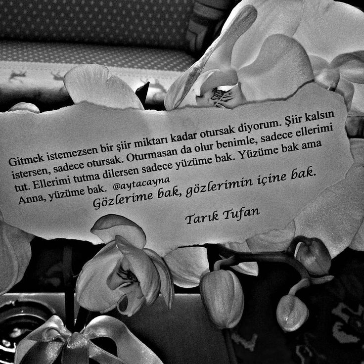 Gitmek Istemezsen Bir Siir Miktari Kadar Otursak Diyorum Siir Kalsin Istersen Sadece Otursak Oturmasan Da Olur Benimle Sadece E Siir Alintilar Kitap Kenari Gitmek Istemezsen Bir Siir Miktari Kadar Otursak Diyorum Siir Kalsin Istersen Sadece Otursak Oturmasan Da Olur Benimle Sadece E Siir Alintilar Kitap Kenari