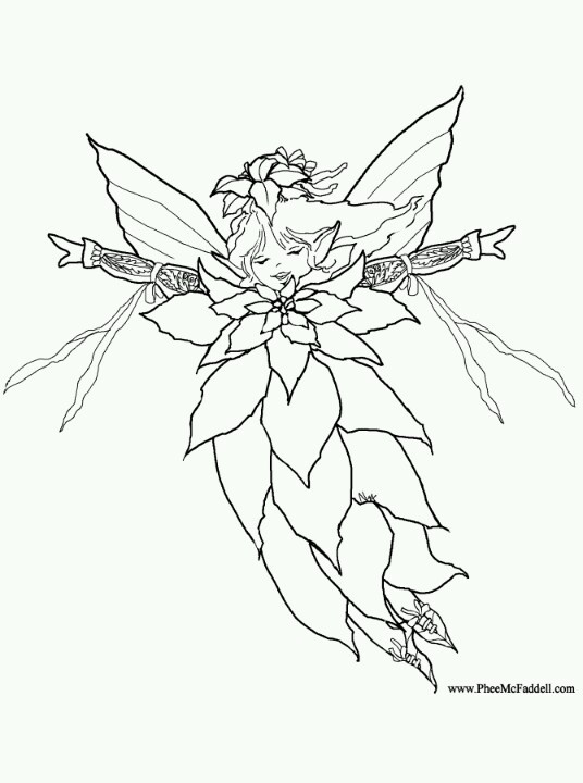 Poinsettia Leafs Coloring Pages Poinsettia Leafs Coloring Pages