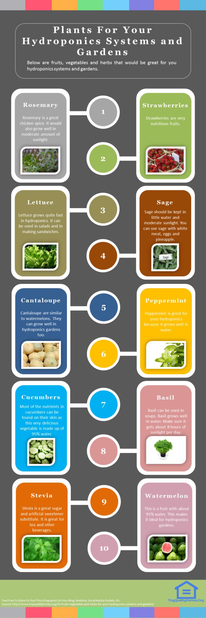 fruit and hydroponics Here's a brief visual introduction to how to grow fresh vegetables with hydroponics so that they're available and fresh all year round. fruit and hydroponics Here's a brief visual introduction to how to grow fresh vegetables with hydroponics so that they're available and fresh all year round.