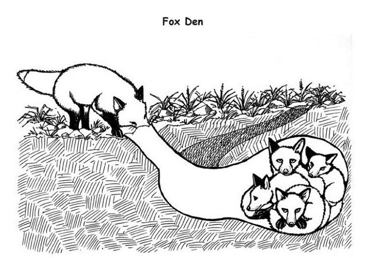 Animal Homes Coloring Pages Teddy bear coloring pages