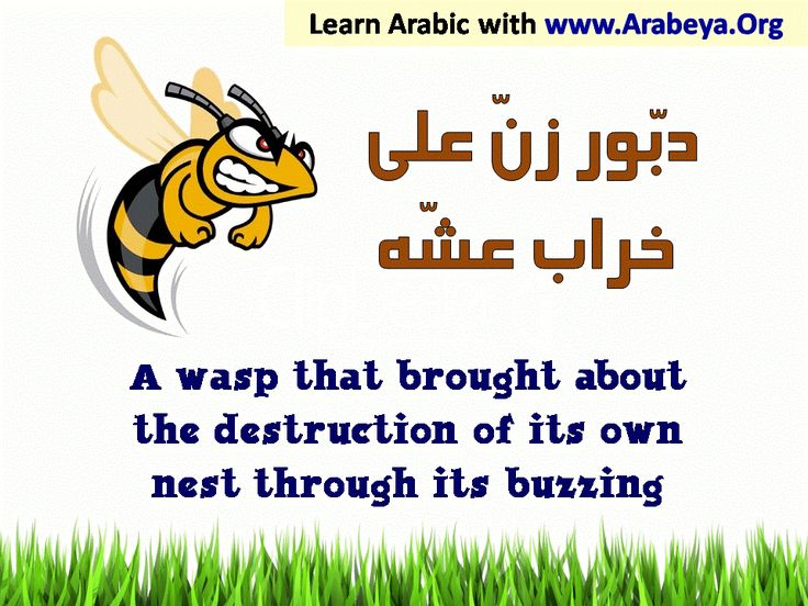 دبور زن على خراب عشه Learning Arabic Language Centers Arabic Proverb