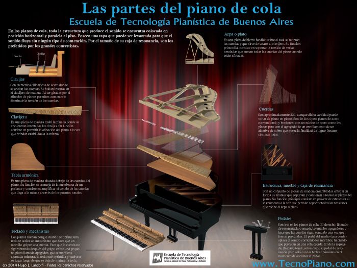 Infografía Partes Del Piano De Cola Tecnopiano Com Piano Piano De Cola Lecciones De Piano