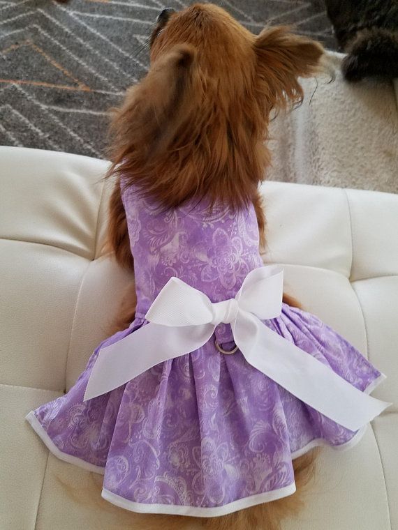 Dog Dress Spring Summer Dog Fancy Dog Puppy Pet Apparel