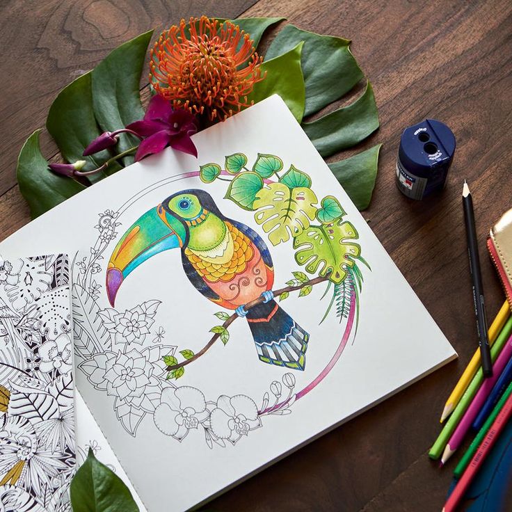 Sneak Peek At Johanna Basfords New Colouring Book Certainly Youre Already Longing For Mid Of August When It Finally Will Be Available