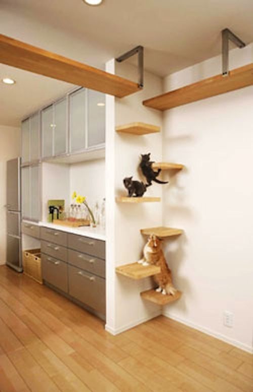 185 best Very Cool Stuff for Pets! images on Pinterest | Animals ... 185 best Very Cool Stuff for Pets! images on Pinterest | Animals ...