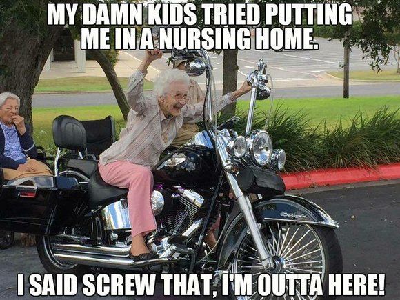 Best Harley Riding Memes Let S See Em Page 7 Harley