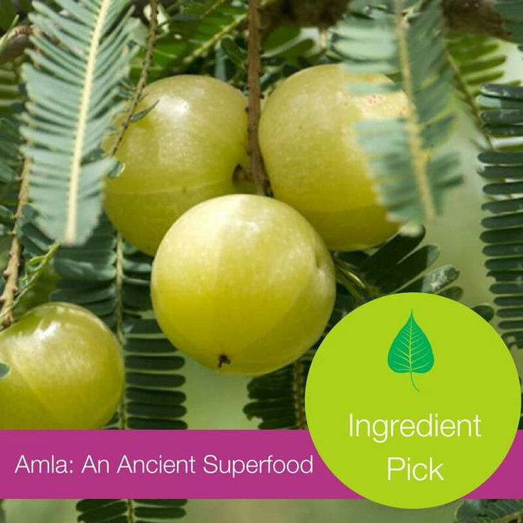 Controindicazioni per garcinia cambogia veda image 7