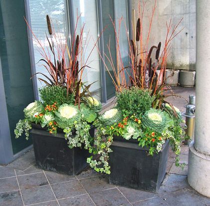 Fall Planter Inspiration Container Garden Pinterest Fall Planter Inspiration Container Garden Pinterest Planters Gardening And