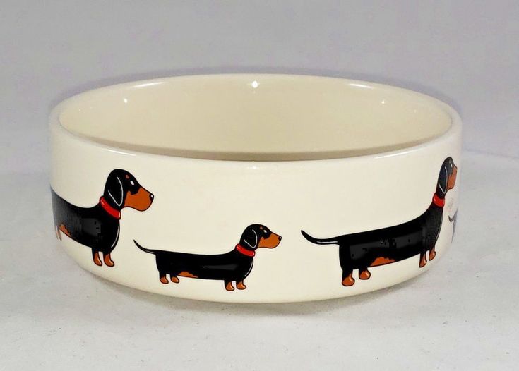 New Sweet William London Dachshund Water Food Bowl